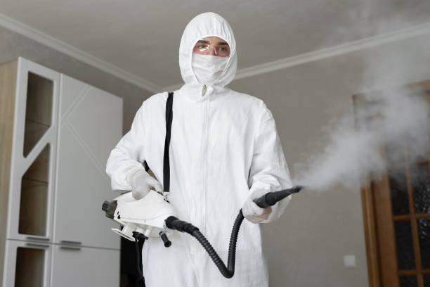 Best Emergency Mold Remediation  in Denham Springs, LA