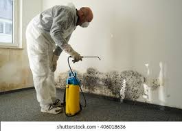 Why You Should Choose Our Mold Remediation Services in Denham Springs, LA